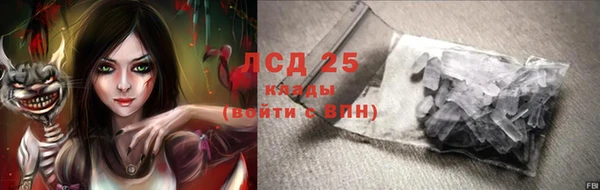 прущие грибы Волоколамск