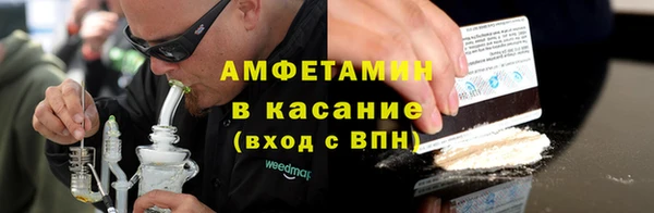прущие грибы Волоколамск