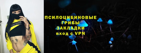 прущие грибы Волоколамск