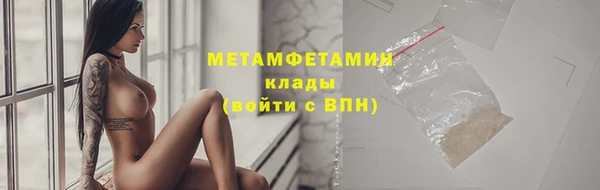прущие грибы Волоколамск