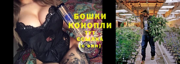 МДПВ Волосово
