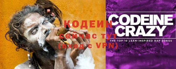 прущие грибы Волоколамск
