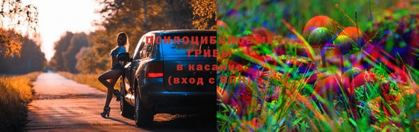 МДПВ Волосово