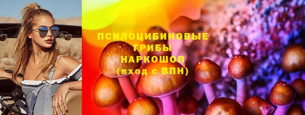 прущие грибы Волоколамск